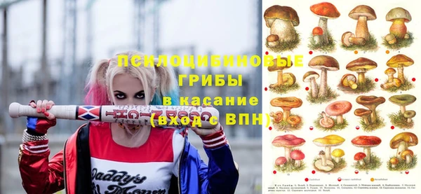 а пвп мука Богородицк