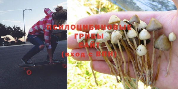 шишки Пестово