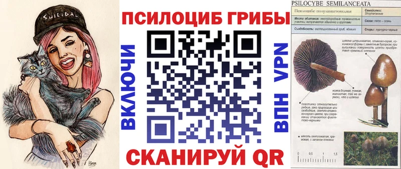 Галлюциногенные грибы Magic Shrooms  Котово 